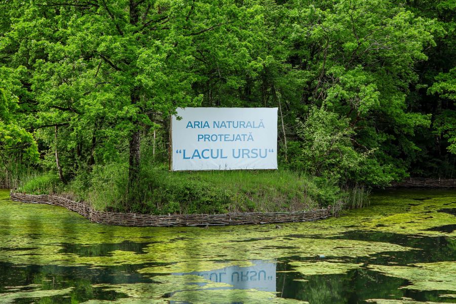 Ursu Lake Algae Could Be the ‘Food of the Future’