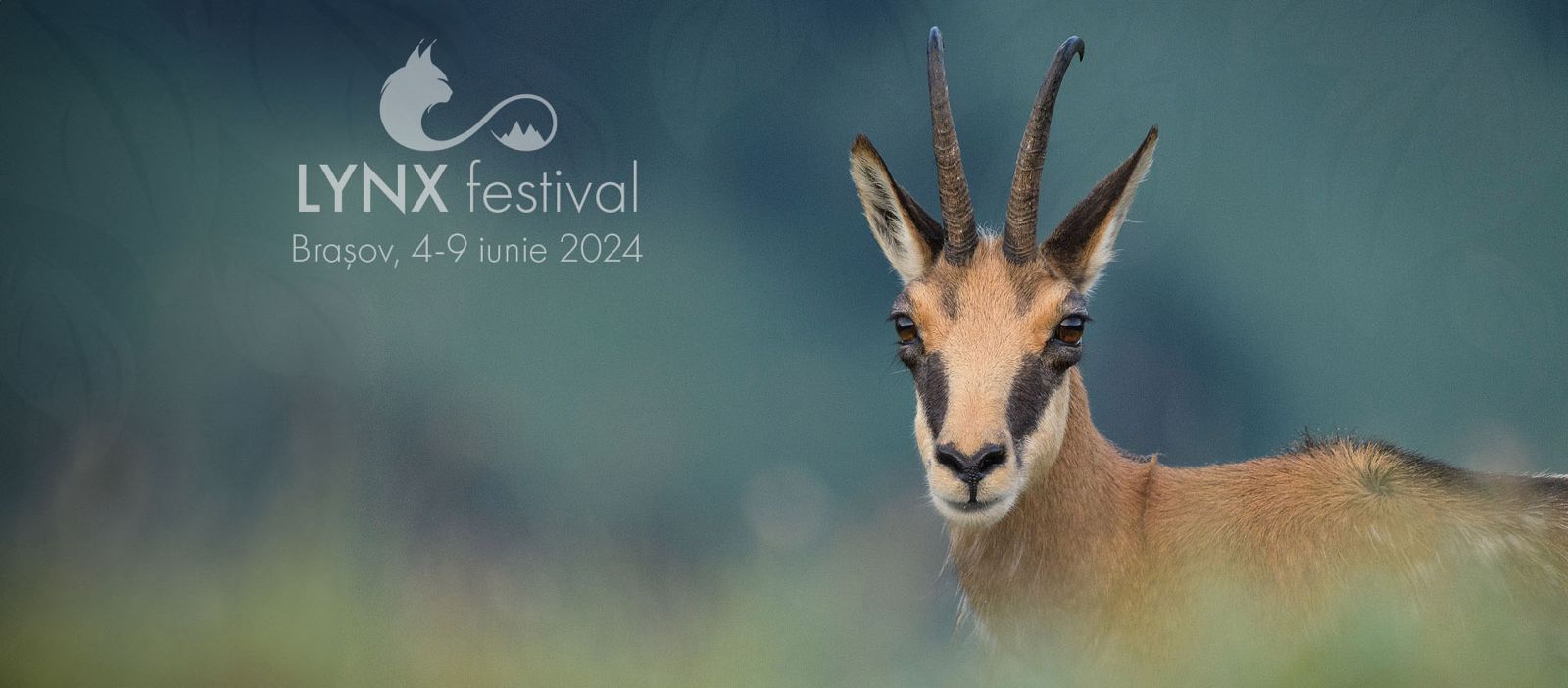 The 2nd edition of LYNX Festival will take place between June 4 – 9