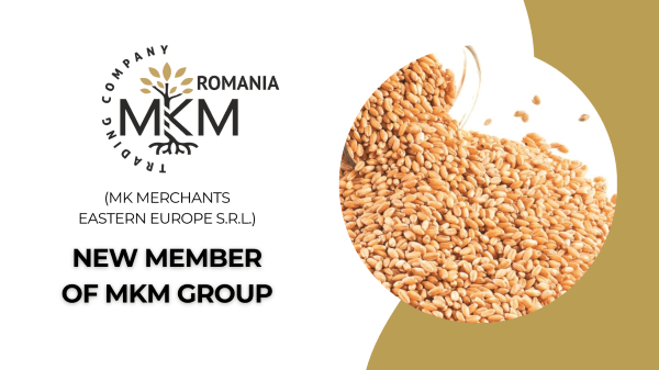 Swiss-based grain trader enters Romania